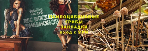 индика Баксан