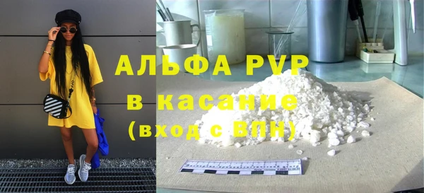 индика Баксан