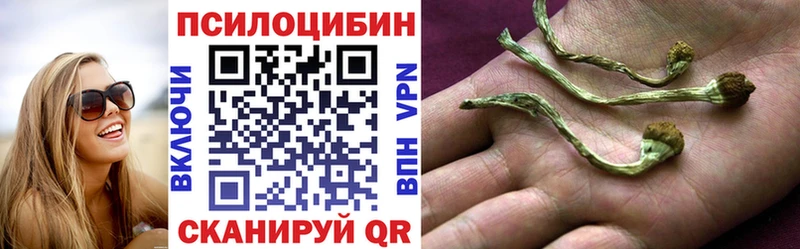Псилоцибиновые грибы прущие грибы  как найти закладки  Богородицк 